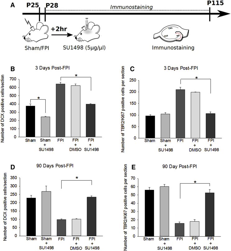 Figure 3