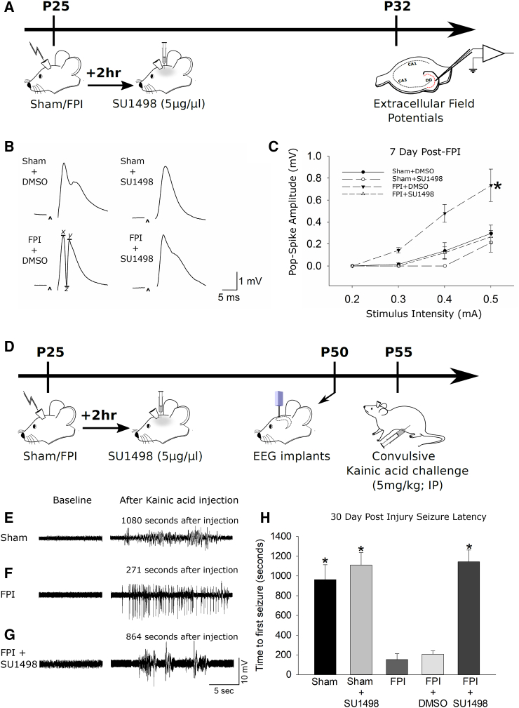 Figure 5