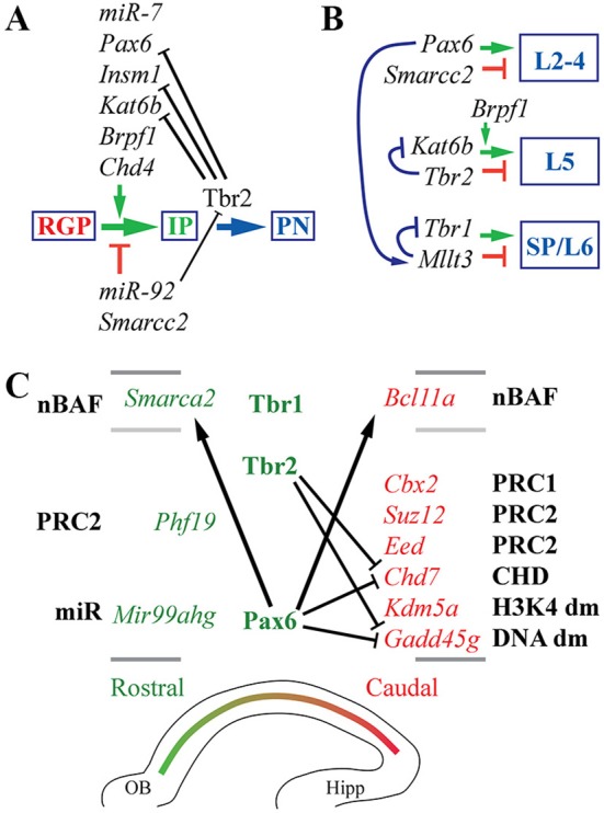 Figure 13