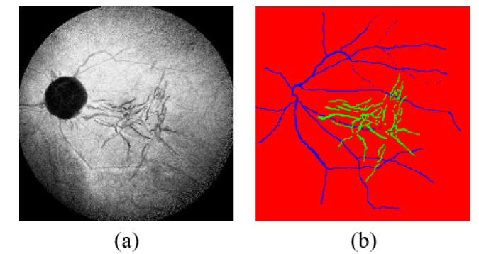 Fig. 6