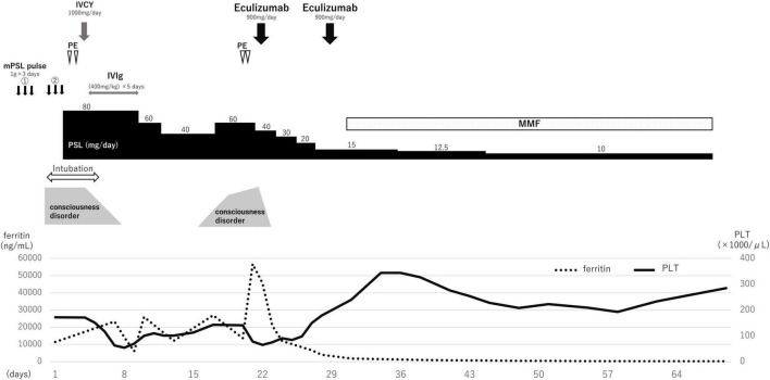 FIGURE 2