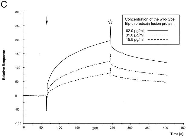 FIG. 8