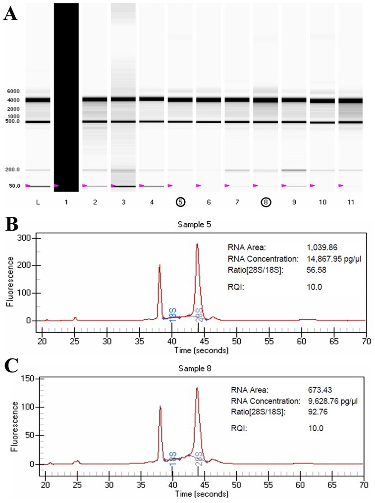 Figure 5