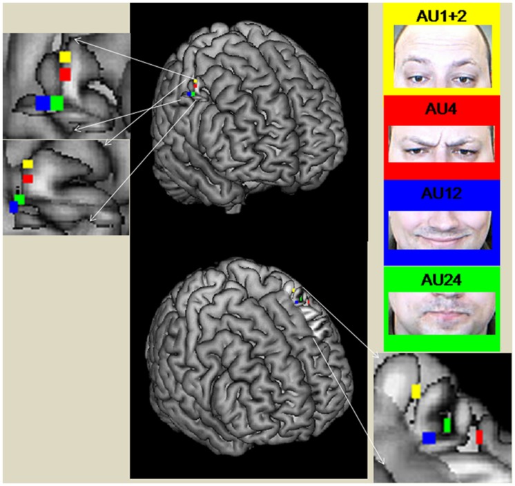 FIGURE 2