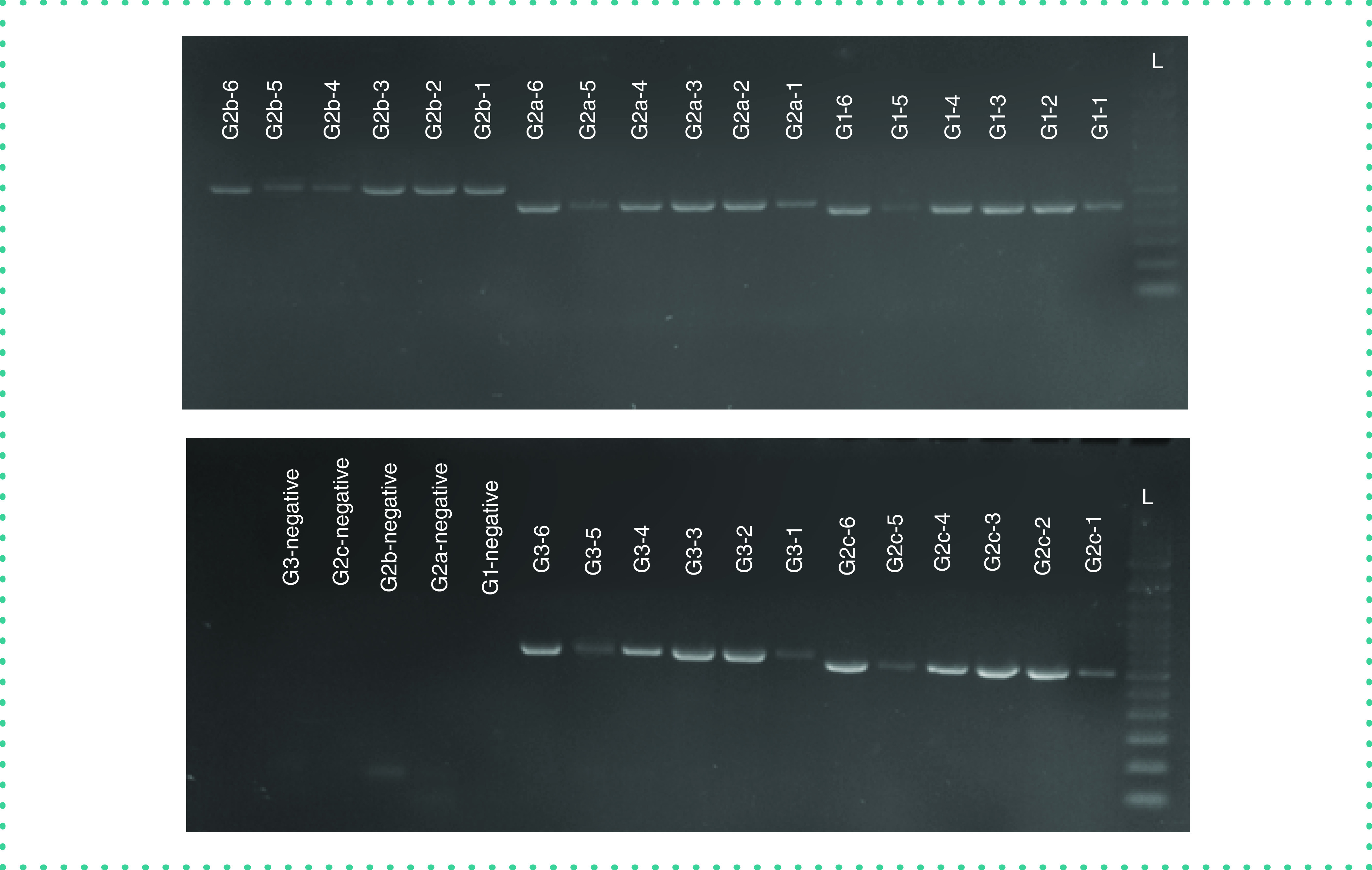 Figure 1. 