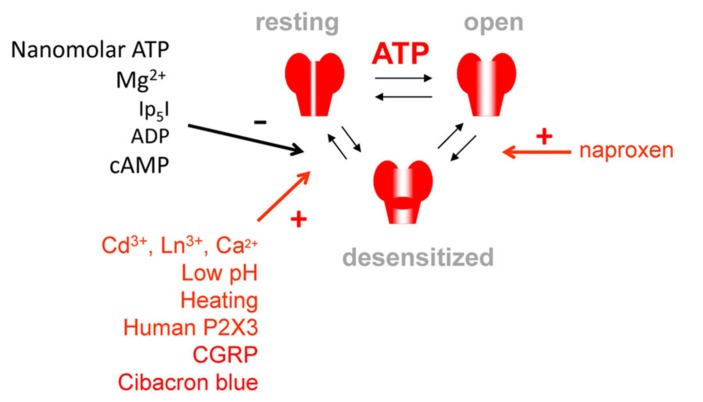 FIGURE 1