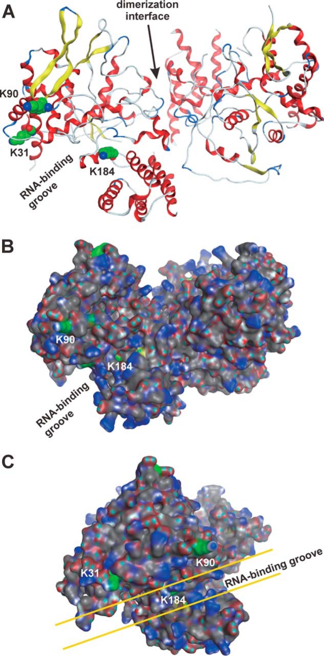 Figure 6.