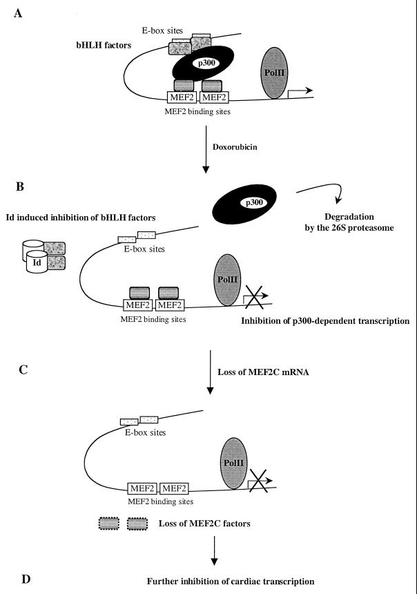 FIG. 7