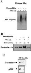 FIG. 6