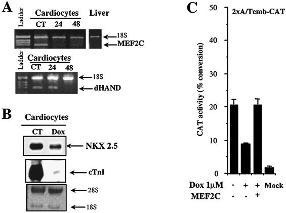 FIG. 1