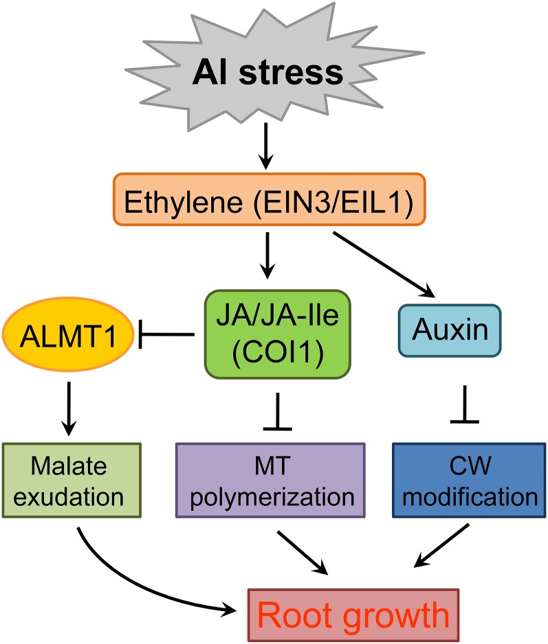 Figure 9.