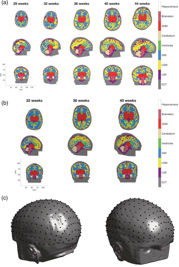 FIGURE 7