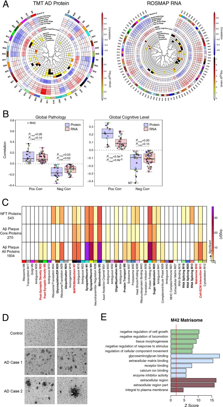 Extended Data Fig. 4