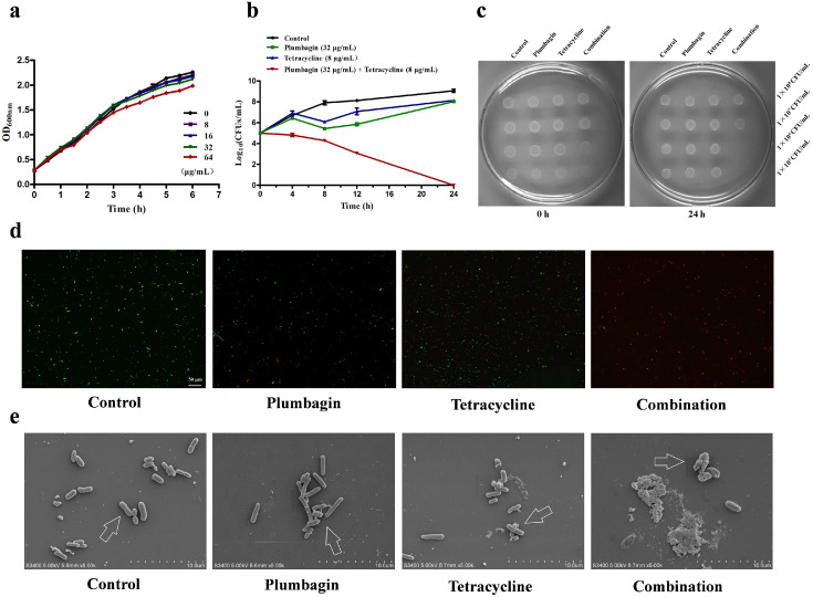 Fig 3