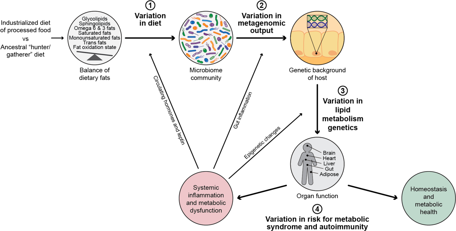 Figure 3: