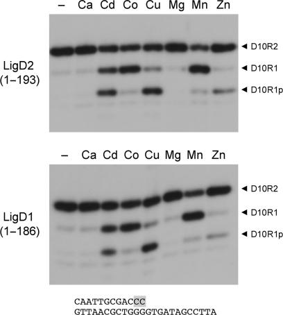 Figure 7.