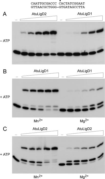 Figure 3.