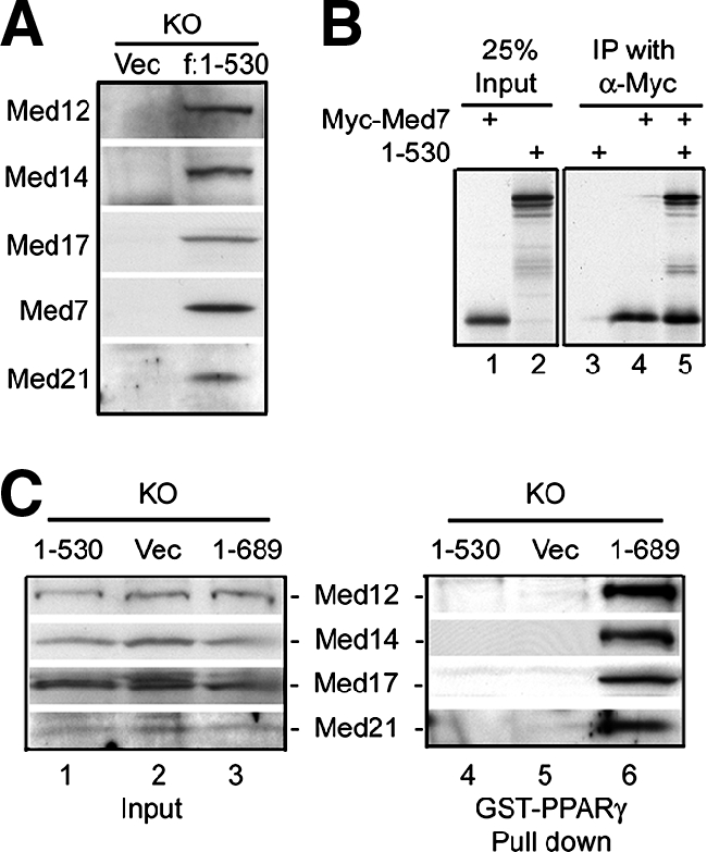 FIG. 5.