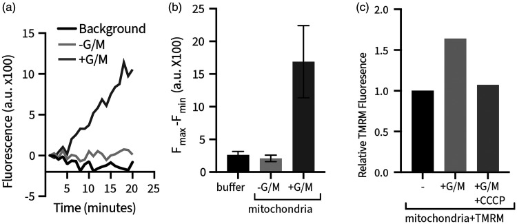 Figure 2.