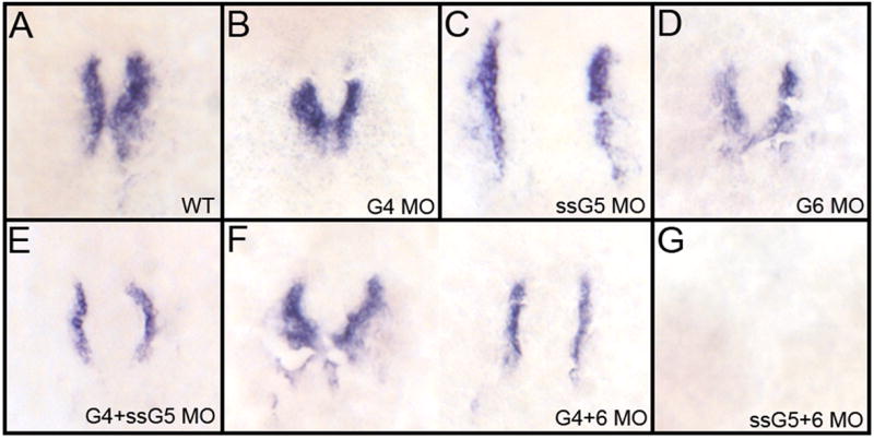 Fig. 5