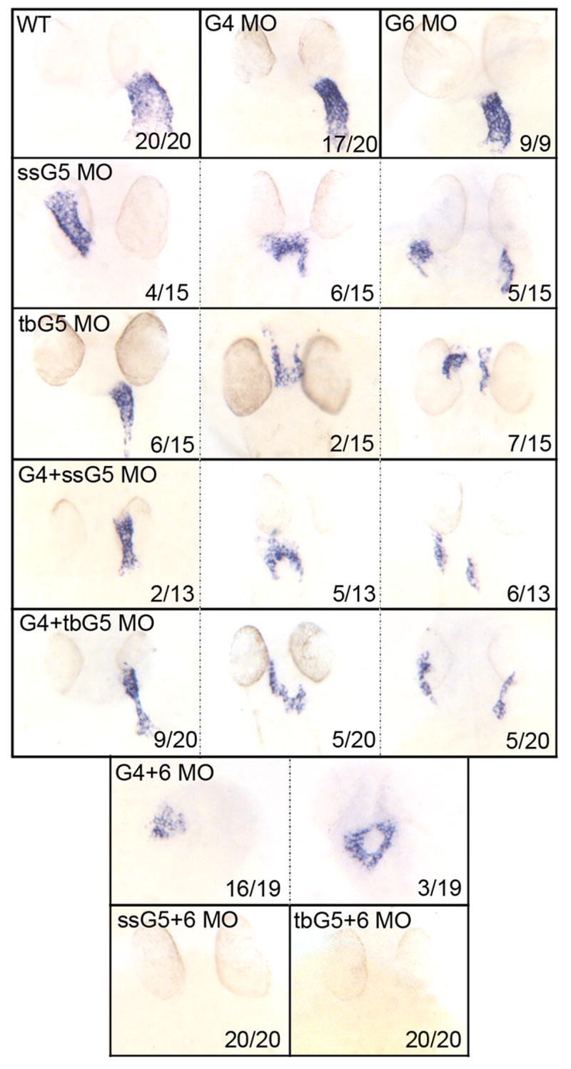 Fig. 3