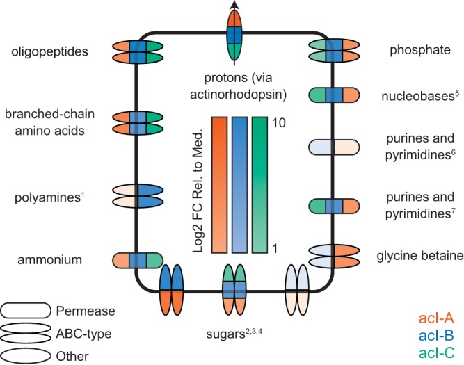 FIG 4 