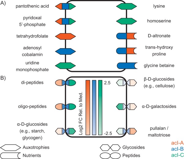 FIG 3 