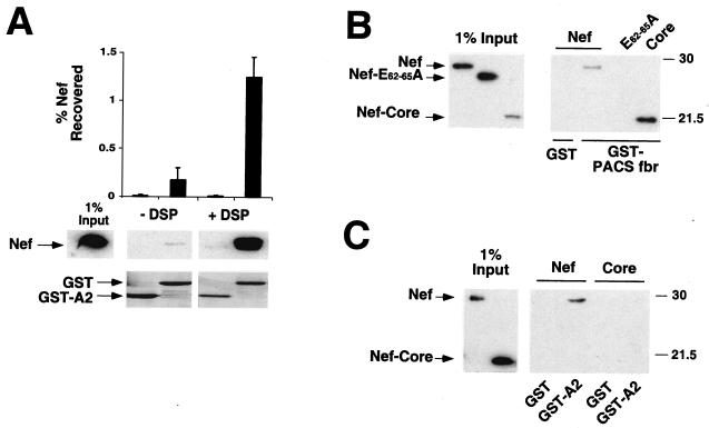 FIG. 5.