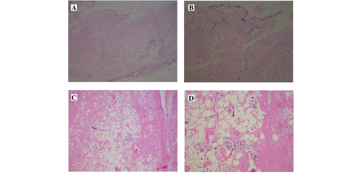 Figure 2.