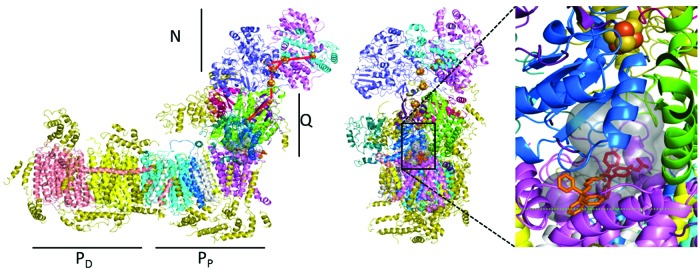 FIG. 7.