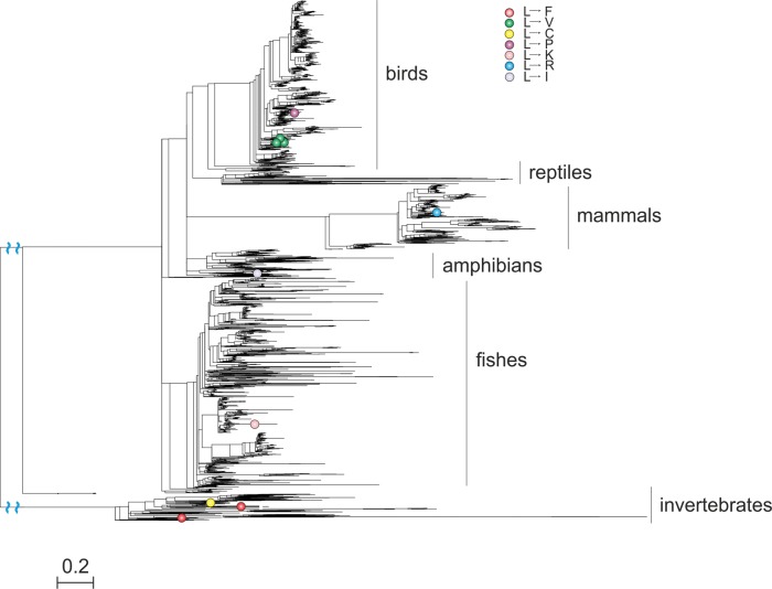 Fig. 2.—