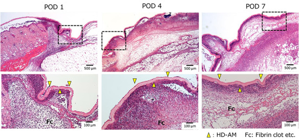 Figure 7.