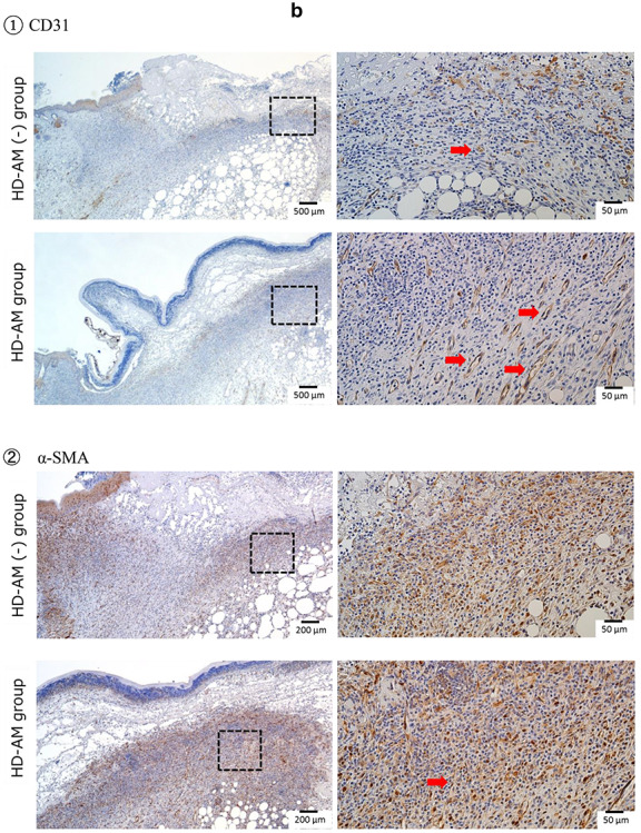 Figure 9.