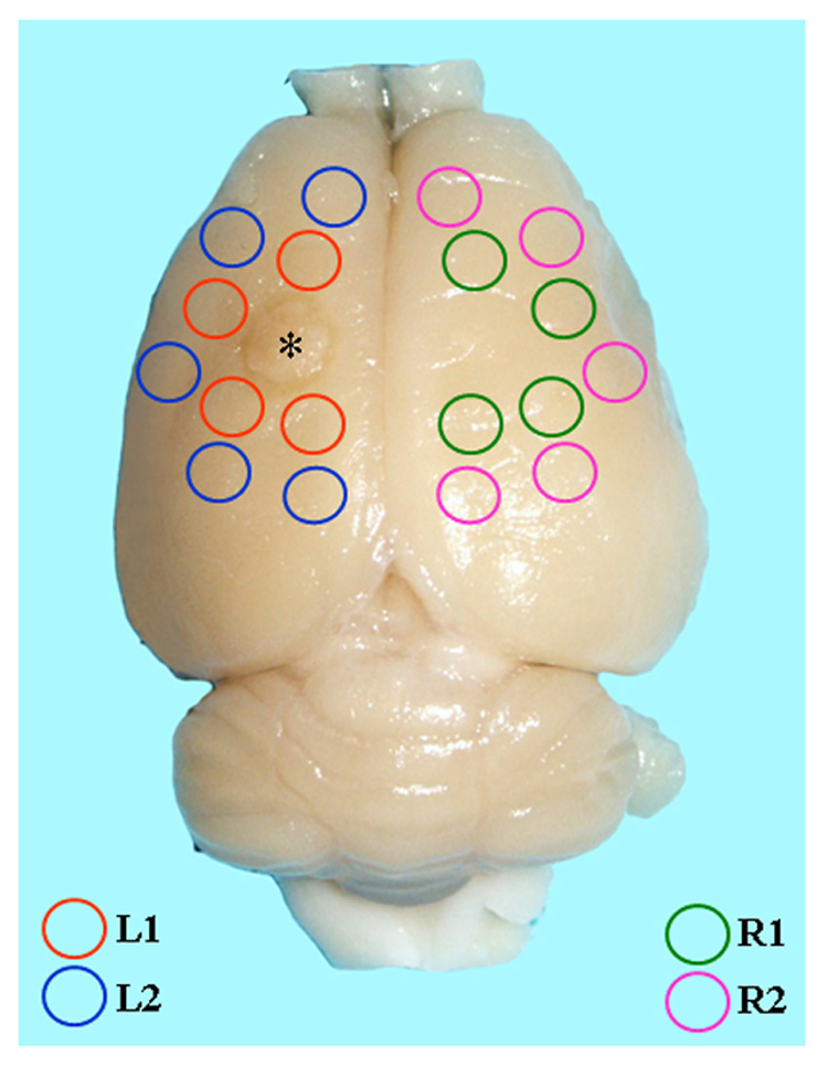 Fig. 1