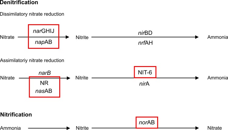 Fig 8