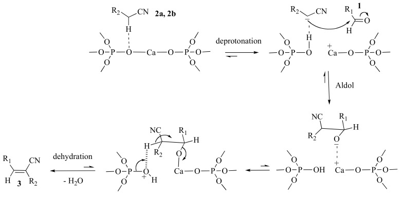 Scheme 2