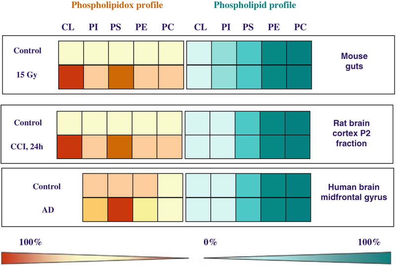 Fig. 21.4.