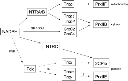 Figure 9.