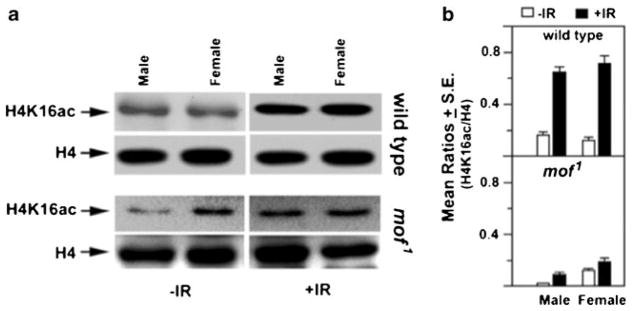 Fig. 10