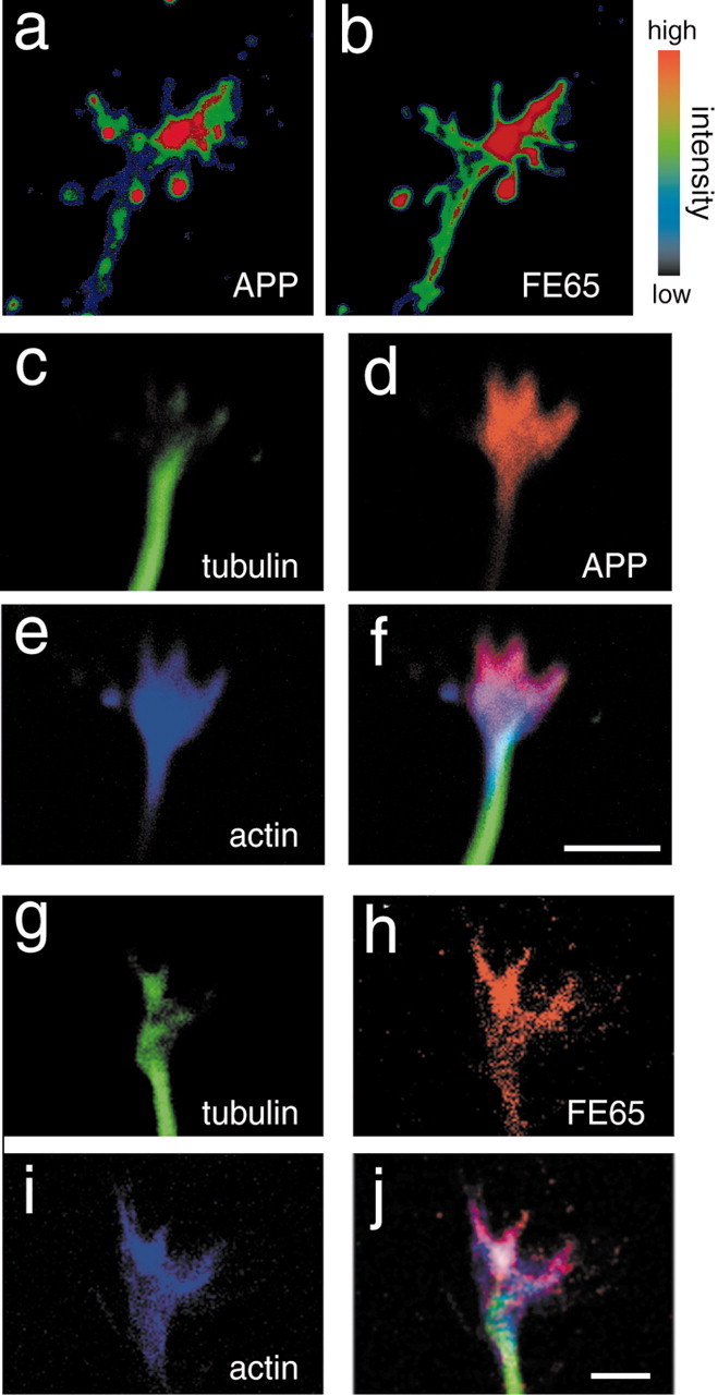 Figure 3.