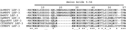 FIG. 8.