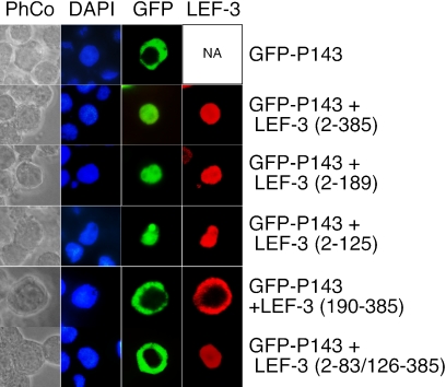 FIG. 6.