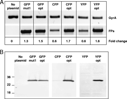 FIG. 4.