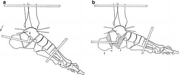 Fig. 5