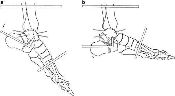 Fig. 8