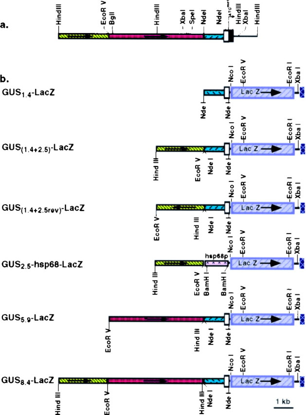 Fig. 1.