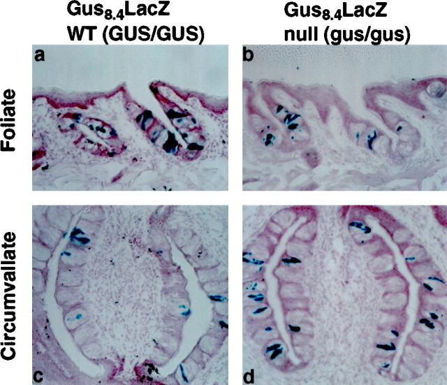 Fig. 5.