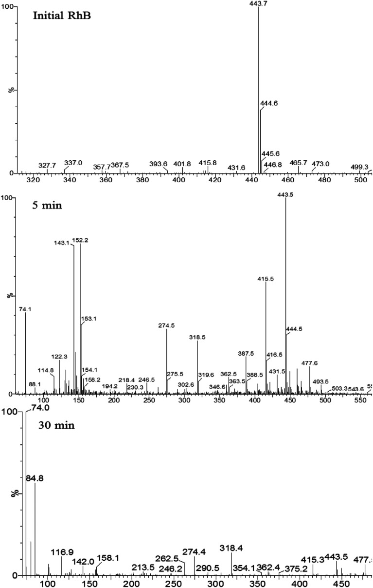 Fig. 9