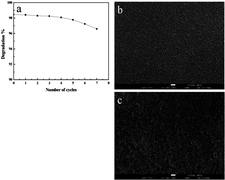 Fig. 8