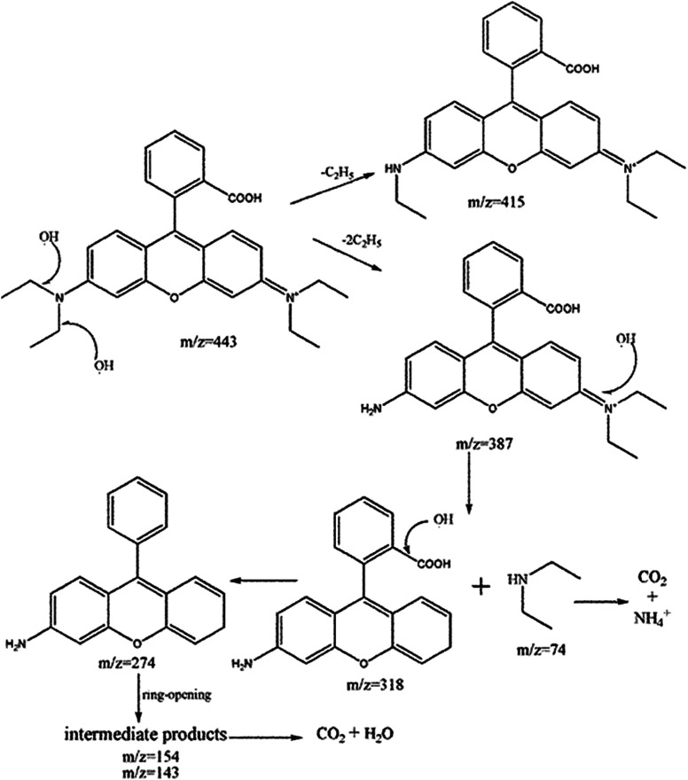 Fig. 10